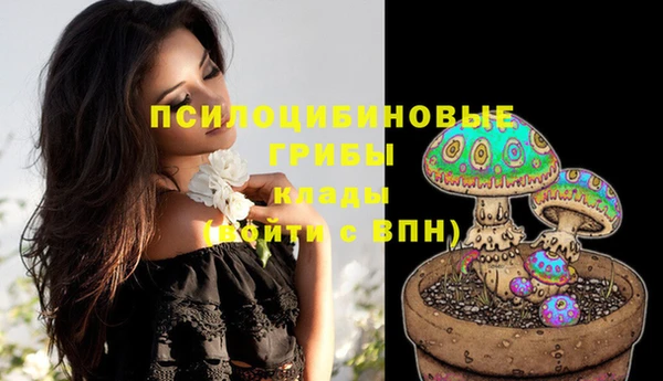 прущие крисы Абинск